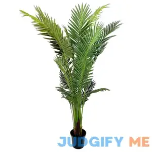 6Ft Potted Green Areca Palm Tree by Ashland