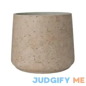 Adona Fibercement Pot Planter AllModern