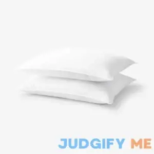 The Company Store Down Free Two Pack Pillows