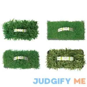 Multi Variety Grass Plug Pack Natural