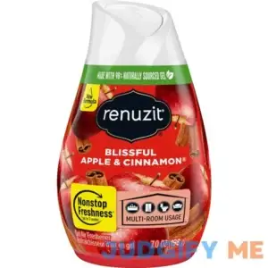 Renuzit Apple Cinnamon Gel Air Freshener