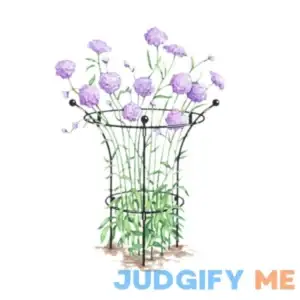 Gardener's Supply Company Essex Plant Support Sturdy Metal Plants Support Frame For Peonies