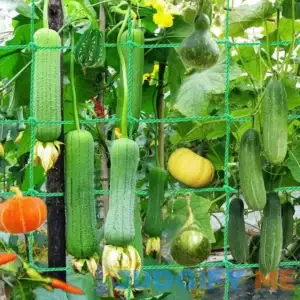 Plant Trellis Netting for Climbing Plants Outdoor Heavy Duty Plastic Garden Trellis Netting 27 Strands Plant Climbing Net Strong Support for