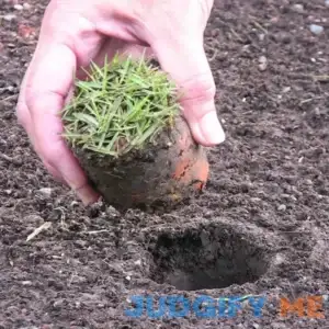 ProPlugger 5-in-1 Lawn and Garden Tool