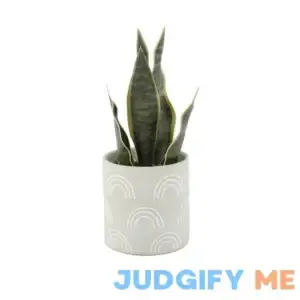 Mainstays 4" Tabletop Artificial Snake Plant in Rainbow Print Terracotta Pot