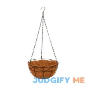 Hanging Coco Basket Planter 10 In