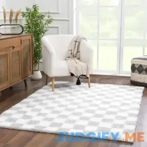Hauteloom Checkered Area Rug Rectangle