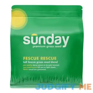 Sunday Fescue Rescue Tall Fescue Grass