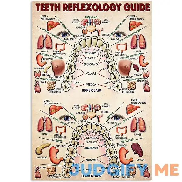 IEFSCAY Teeth Reflexology Guide Knowledge Art Poster Wall Painting Waterproof Canvas HD Wall Art Frameless for Bedroom Living Room Office Ready to IEFSCAY Teeth Reflexology Guide Knowledge Art Poster Wall Painting Waterproof Canvas HD Wall Art Frameless for Bedroom Living Room Office Ready to