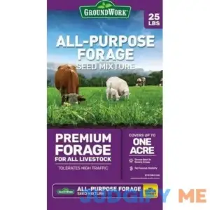 GroundWork 25 lb. All-Purpose Forage Grass Seed