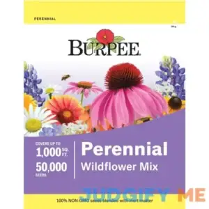 Burpee Perennial Wildflower Seeds Mix Non-GMO Attracts Pollinators