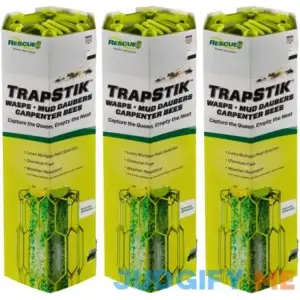 Rescue! TrapStik for Wasps Mud Daubers