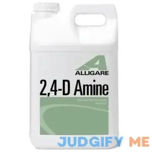 Alligare 2