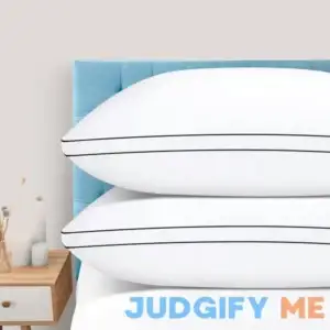 DolceLuna Pillows Queen Size Set of 2