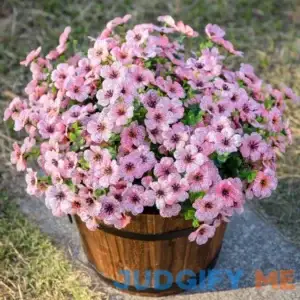 Hyeflora Artificial Faux Outdoor Plants Flowers 12 Bundles Fake Silk Daisy Planter Pot Uv Resistant