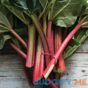 Van Zyverden Rhubarb Victoria Bare Plant Root GMO Free Full Sun Multi-Color
