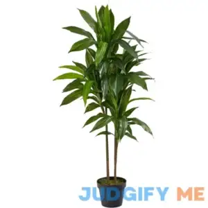 Nearly Natural 43in. Dracaena Silk Plant