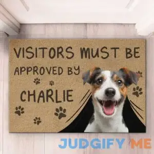 Custom Photo Visitors Must Be Approved By This Dog - Dog & Cat Personalized Custom Home Decor Doormat