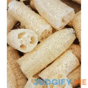 Burpee Squash Gourd Ornamental Luffa