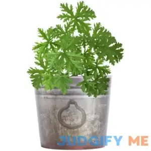 4-Gallon Organic Snap Combo