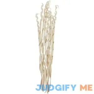 Berglund Palm Leaf Sculpture Beachcrest Home Flowers/Leaves