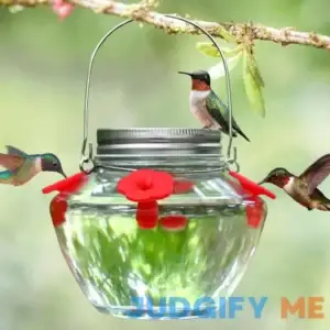 Mason Jar Hummingbird Feeder for Outdoors Hanging