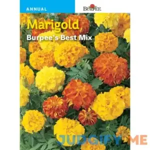 Burpee Marigold 's Best Mix