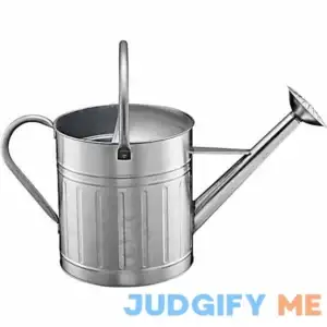 Groundwork 2.3 gal. Watering Can