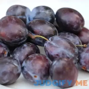 Stanley Plum Tree - 4-5ft tall