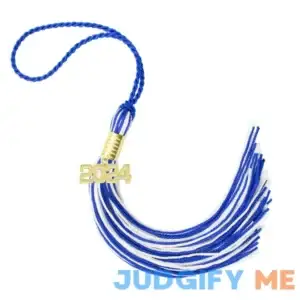 Adult Tassel Depot 2024 Pride Graduation Tassel