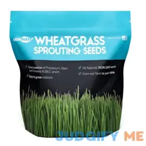 Wheatgrass Seeds Non GMO Grown in USA Wheat Grass Seeds