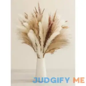 NEZUIBAN Natural Dried Pampas Grass Bouquet 60 Pcs Dried Reed Flowers