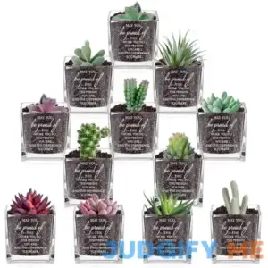 Mumufy Thank You Gift Clear Square Glass Vases 3.15 Inch Succulent Pots Mini Glass Plant Candle Pots Employee Appreciation Gift for Graduation