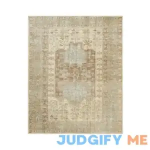 Pottery Barn Arlet Handknotted Rug
