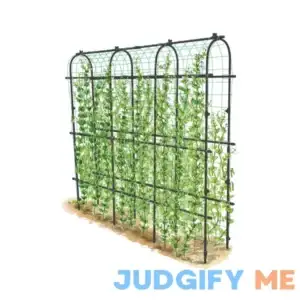 benefitbon Titan Pea Tunnel