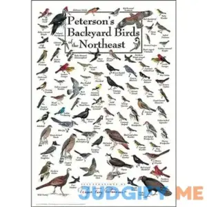 Steven M. Lewers & Associates Earth Sky Water Steven M. Lewers & Associates Peterson's Backyard Birds of the Northeast Poster