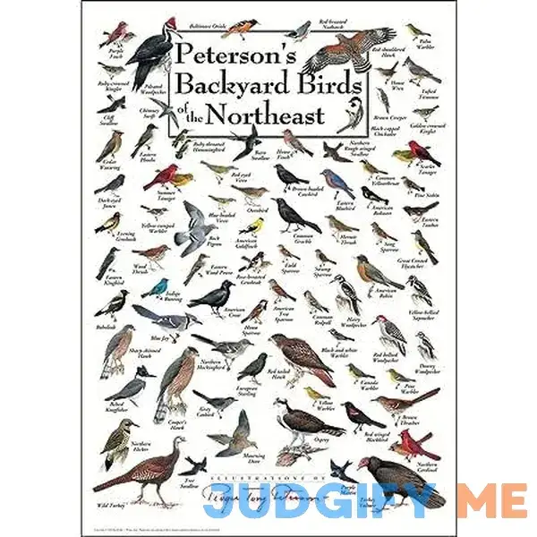 Steven M. Lewers & Associates Earth Sky Water Steven M. Lewers & Associates Peterson's Backyard Birds of the Northeast Poster Steven M. Lewers & Associates Earth Sky Water Steven M. Lewers & Associates Peterson's Backyard Birds of the Northeast Poster