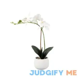 Better Homes & Gardens Artificial Real Touch Orchid Flowers