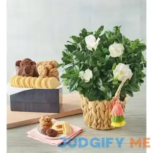 Gardenia With Cookies