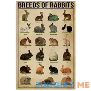 Breeds of Rabbits Retro Metal Sign Bar Cafe Club Wall Decoration Plaque Nostalgic Tin Sign 8x12 Inch Art Iron Painting