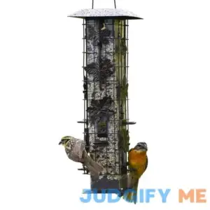 Perky Pet Squirrel Be Gone Wild Bird Feeder