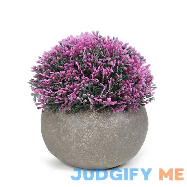 Mainstays 5.12" Artificial Purple Boxwood Plant in Cement Pot Mainstays 5.12" Artificial Purple Boxwood Plant in Cement Pot