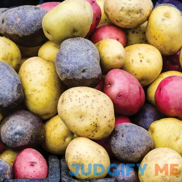 Van Zyverden Harvest Blend Seed Potatoes Van Zyverden Harvest Blend Seed Potatoes