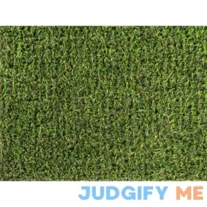 Style Selections Spring Olive Roll-bar 12-in Cut To Length Artificial Grass RBSOL-8240-UJ-1200