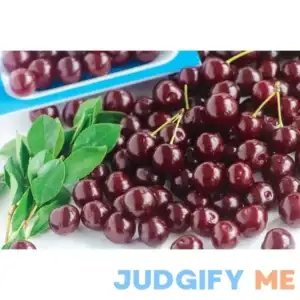 Romeo Dwarf Bush Cherry Prunus