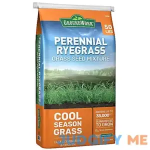 Groundwork Perennial Ryegrass Mix Grass Seed