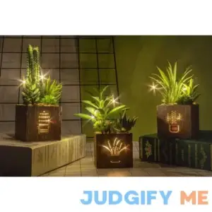 BEGONDIS Set of 3 Artificial Succulents with Led Lights in Wooden Box