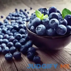 Legacy Blueberry Bush