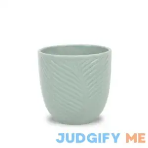 Leaf Print Ceramic Pot by Ashland