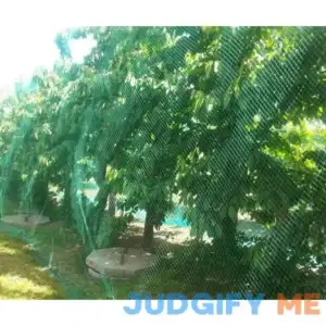 CandyHome 13Ft x 33Ft Anti Bird Protection Mesh Garden Netting Seedlings Plants Flowers Fruit Trees Vegetables from Rodents Deer Reusable Fencing